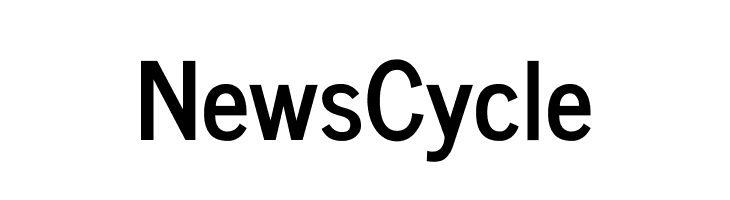 News Cycle  Frei Schriftart Herunterladen