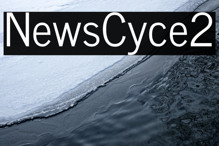 News Cycle2 Example 1