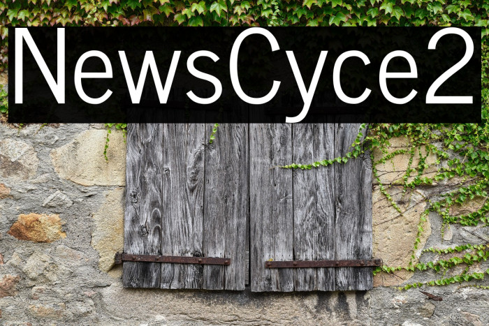 News Cycle2 Example 2