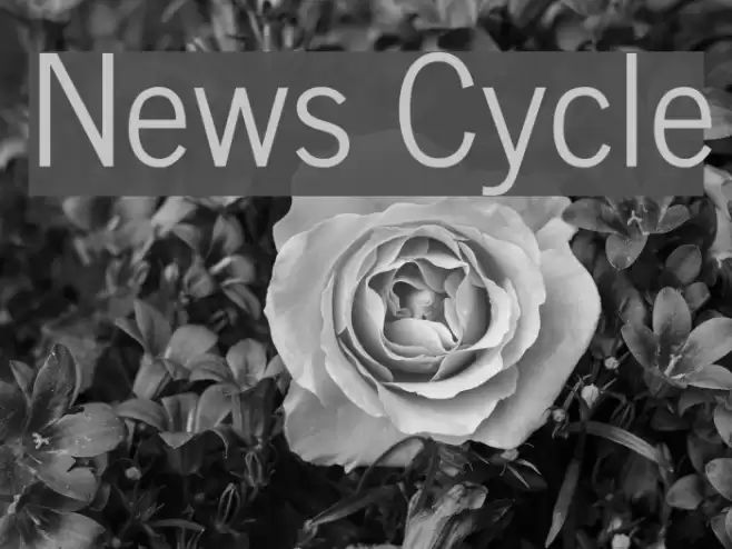 News Cycle Font examples