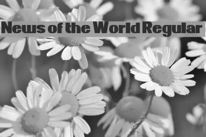 News of the World Regular Font examples