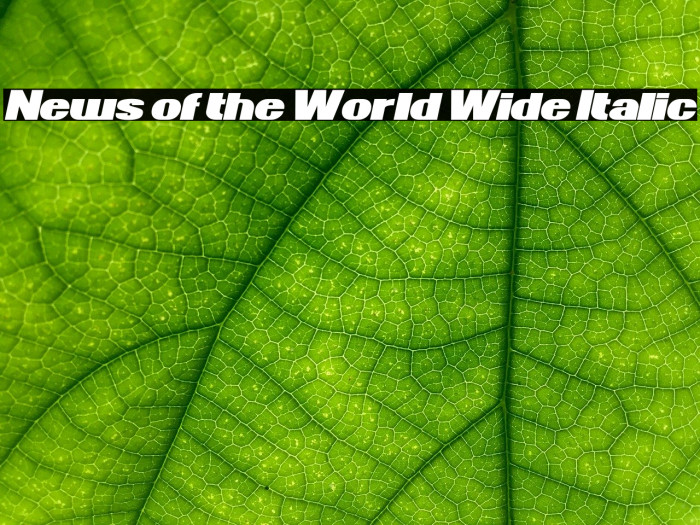 News of the World Wide Italic Font examples