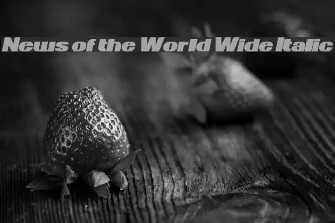 News of the World Wide Italic Font examples