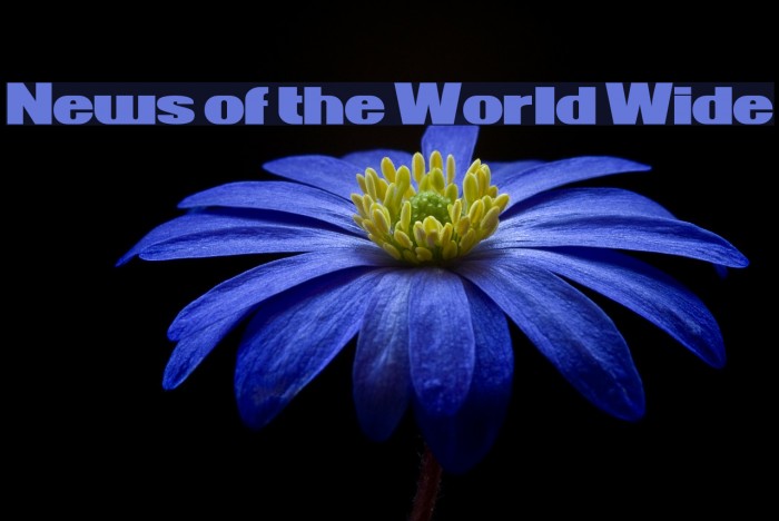 News of the World Wide Font examples