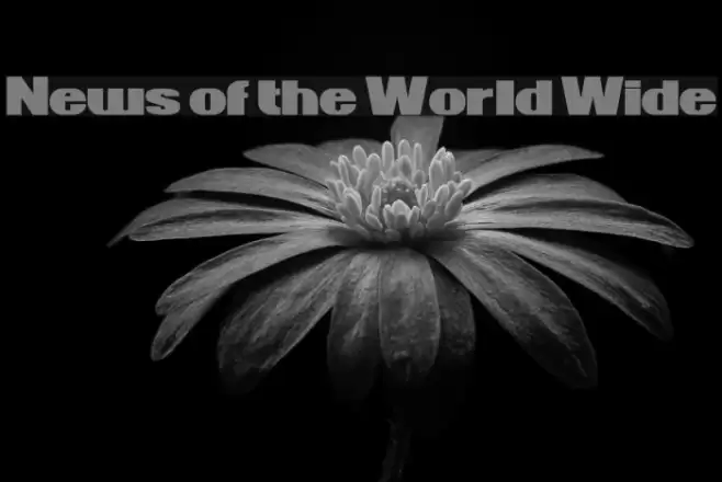 News of the World Wide Schriftart examples