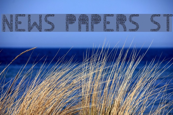 News papers st Font examples