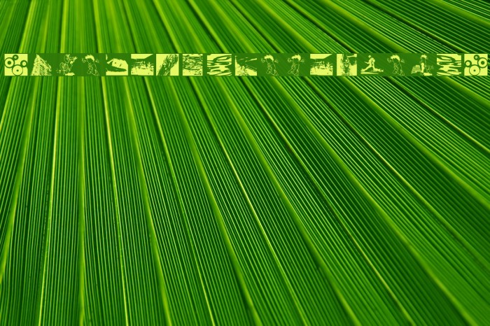 NewsFromAbsurdistan Font examples