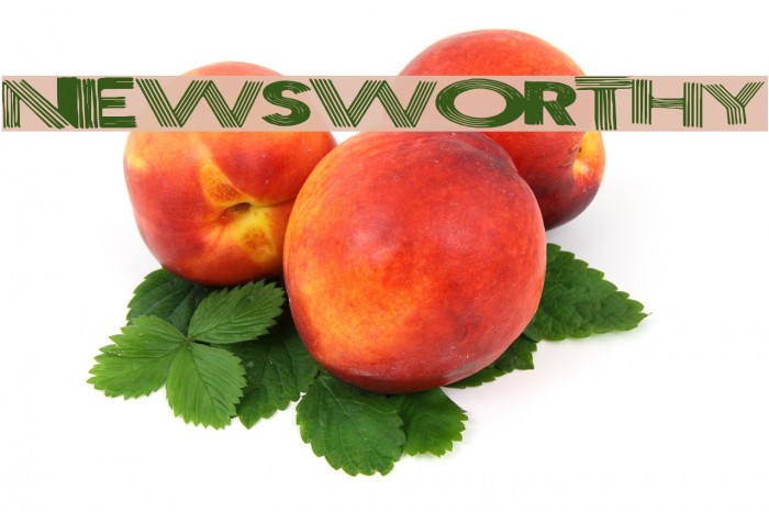 NewsWorthy Example 3