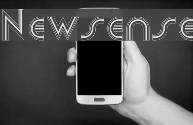 Newsense Example 1