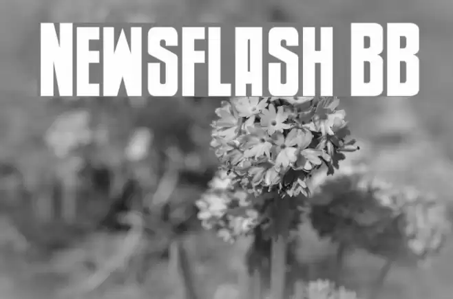 Newsflash BB Font examples