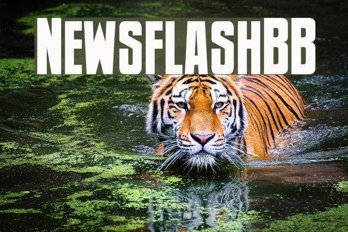 NewsflashBB Font examples