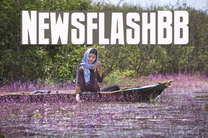 NewsflashBB Font examples