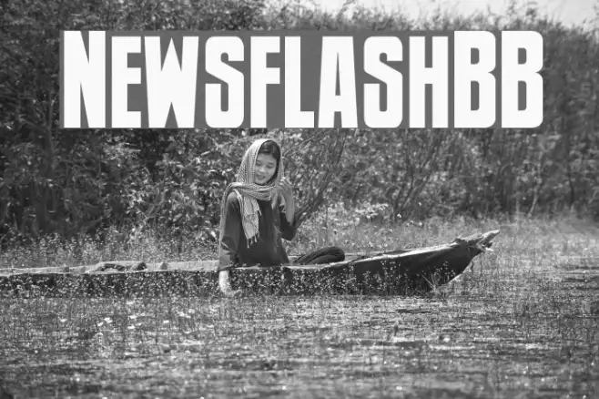 NewsflashBB Example 3