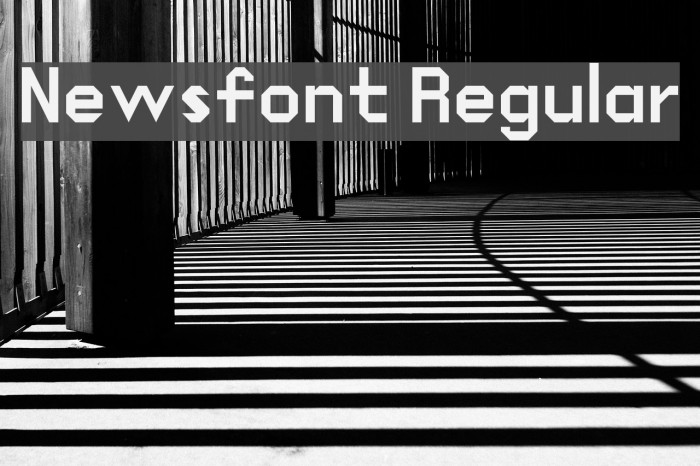 Newsfont Regular Font examples