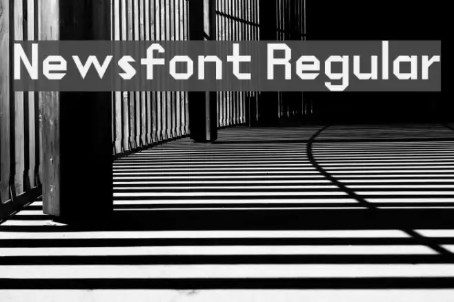 Newsfont Regular Example 1