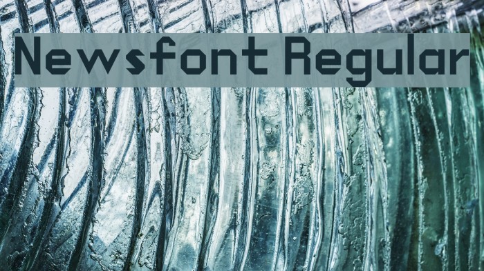 Newsfont Regular Font examples