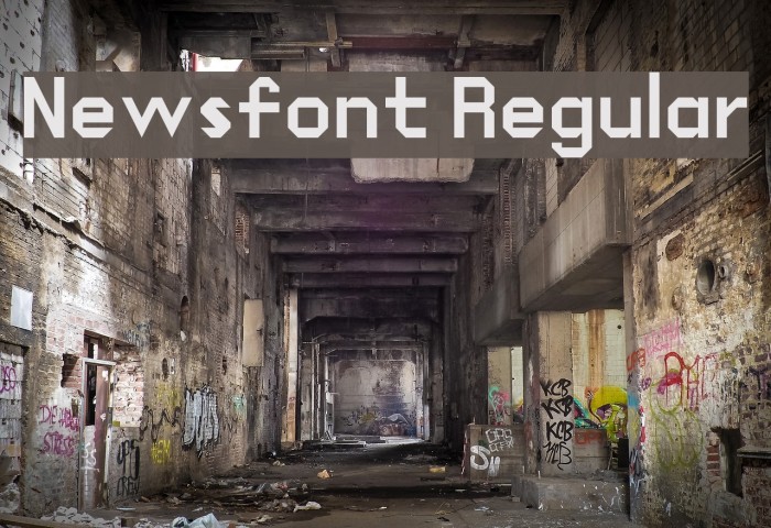 Newsfont Regular Font examples