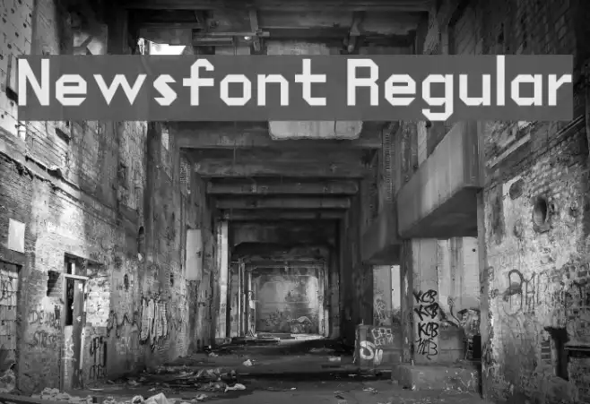 Newsfont Regular Example 3