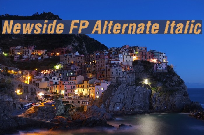 Newside FP Alternate Italic Font examples