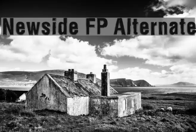 Newside FP Alternate Font examples