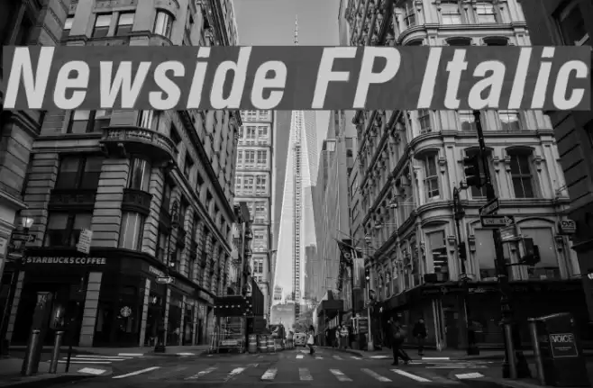 Newside FP Italic Font examples