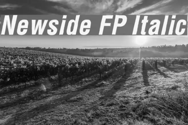 Newside FP Italic Font examples