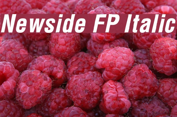 Newside FP Italic Font examples