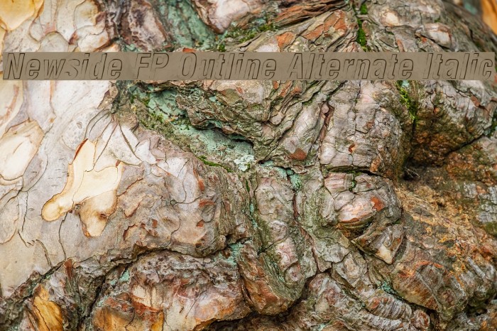 Newside FP Outline Alternate Italic Example 1