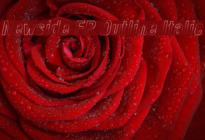 Newside FP Outline Italic Font examples