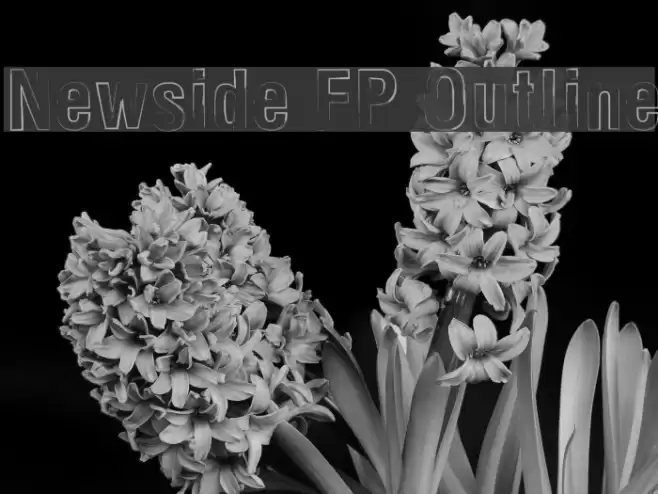 Newside FP Outline Font examples