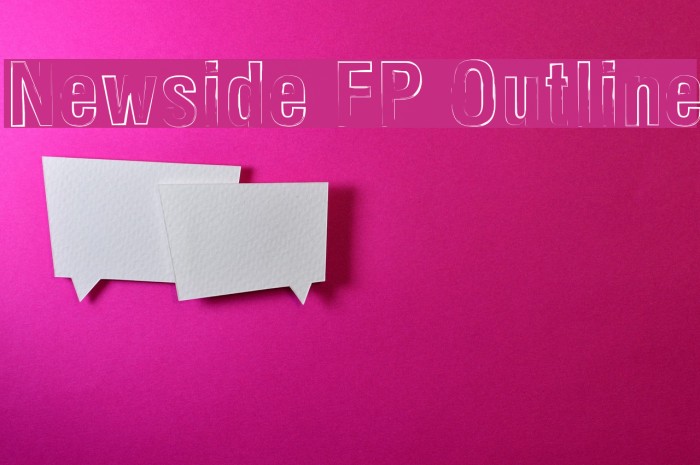 Newside FP Outline Example 2