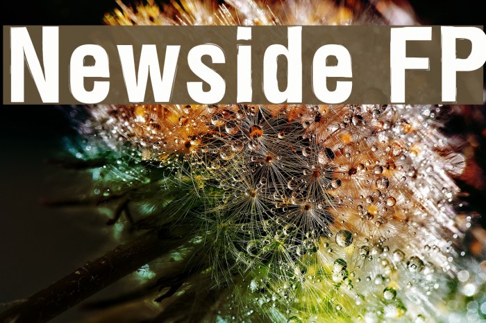 Newside FP Font examples