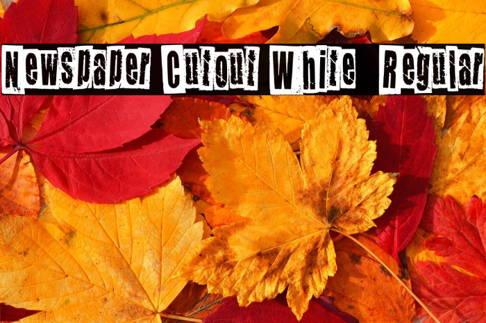 Newspaper Cutout White  Regular Example 2