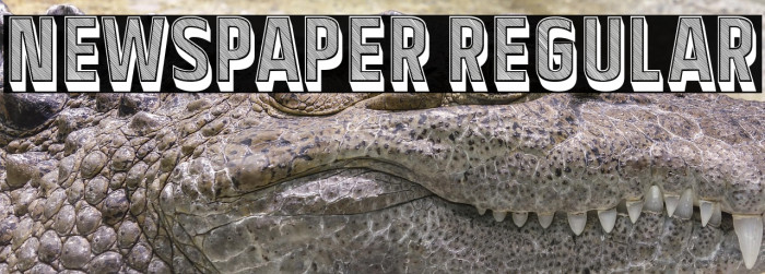 Newspaper Regular Example 1