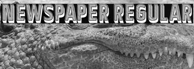 Newspaper Regular Example 1
