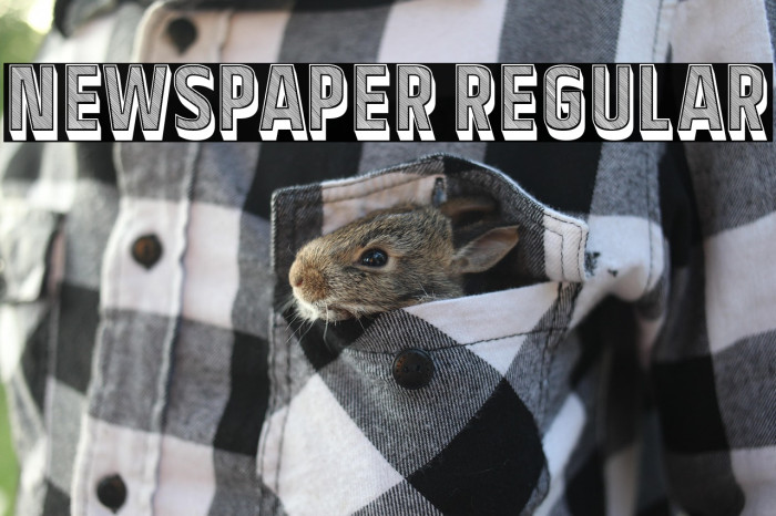 Newspaper Regular Example 2