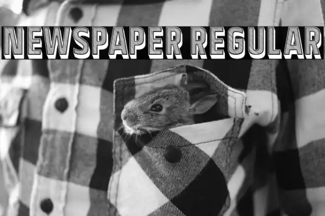 Newspaper Regular Example 2