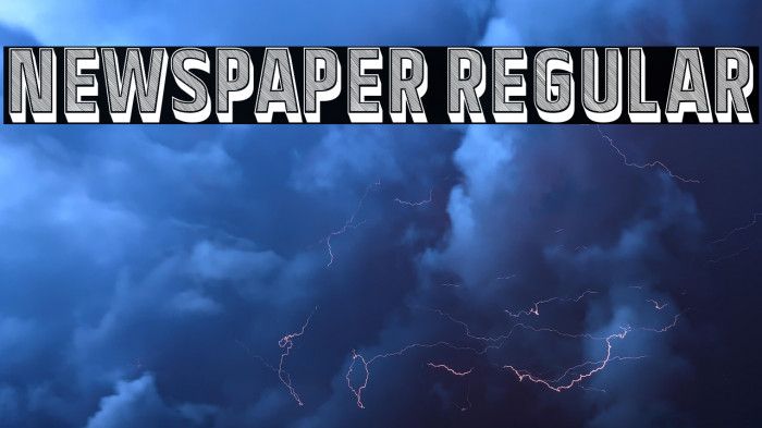 Newspaper Regular Example 3