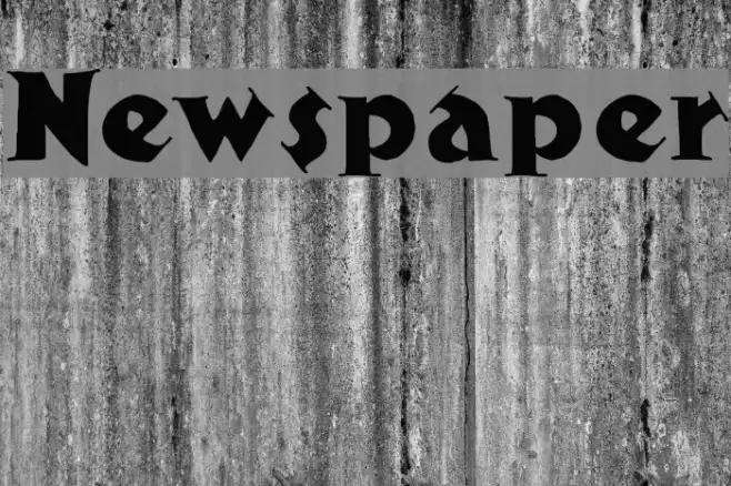 Newspaper Example 1