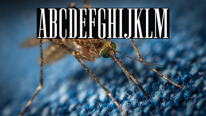 NewstonNormal-Regular Example 3