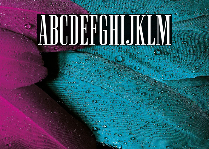 NewstonNormal-Regular Example 1