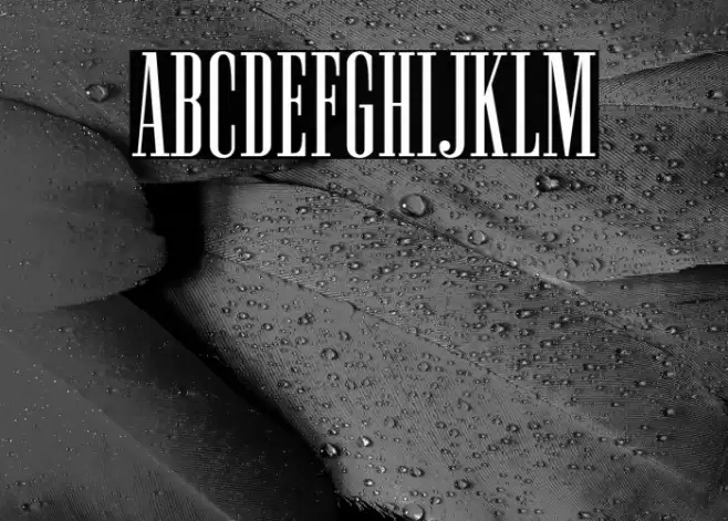 NewstonNormal-Regular Font examples