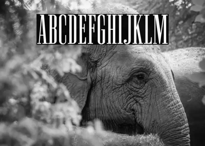 NewstonNormal-Regular Font examples