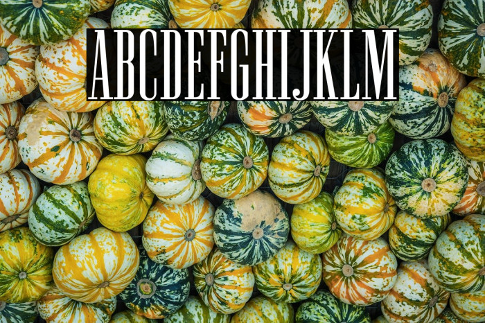 NewstonNormal-Regular Example 3