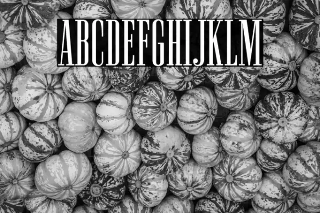 NewstonNormal-Regular Font examples