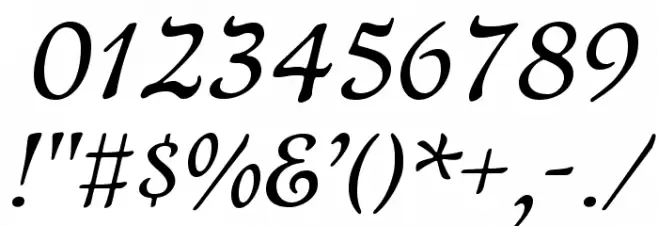 NewtSerif-Italic Font OTHER CHARS