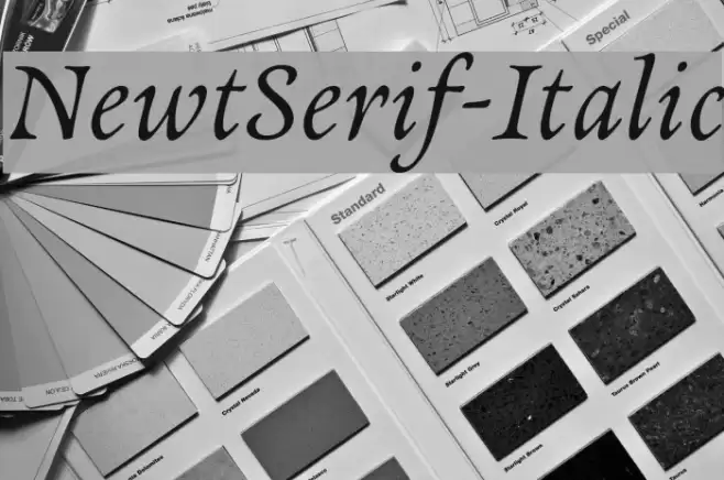 NewtSerif-Italic Font examples