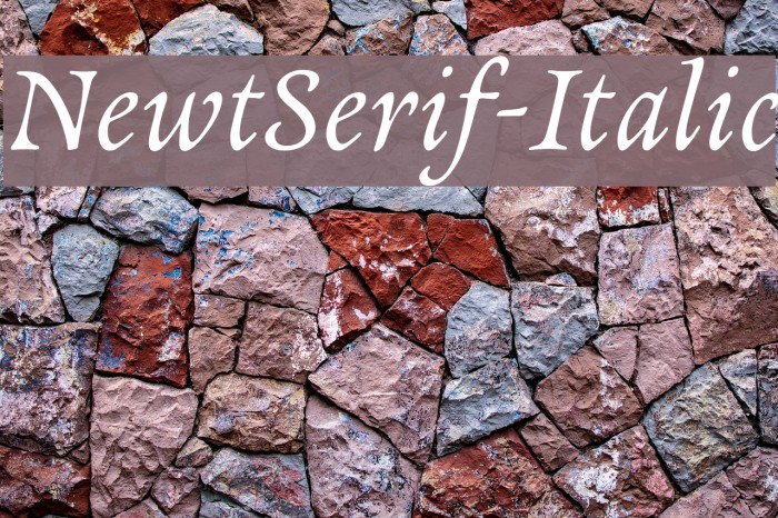 NewtSerif-Italic Fonte examples