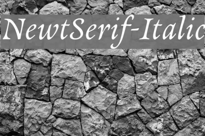 NewtSerif-Italic Font examples