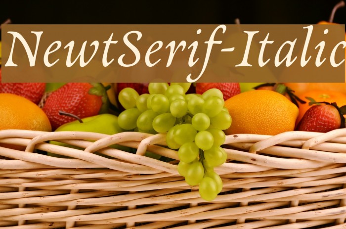 NewtSerif-Italic Fonte examples